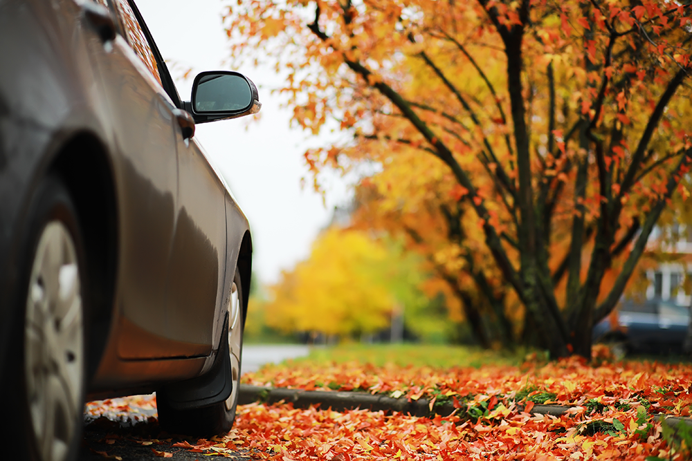 Fit für den Herbst