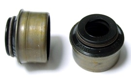Dichtring