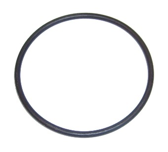 Dichtring