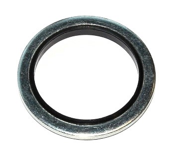 Dichtring