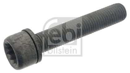 Schraube, Bremssattel
