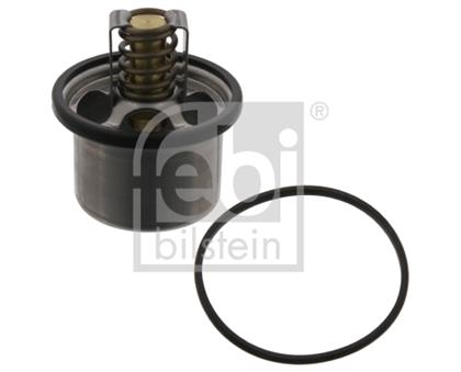 Thermostat, Kühlmittel