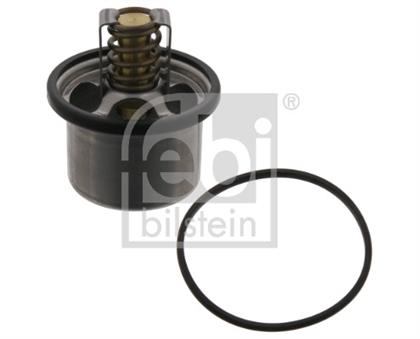 Thermostat, Kühlmittel