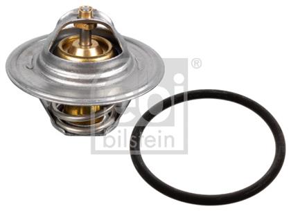 Thermostat, Kühlmittel