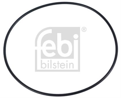 O-Ring für Radnabe SCANIA