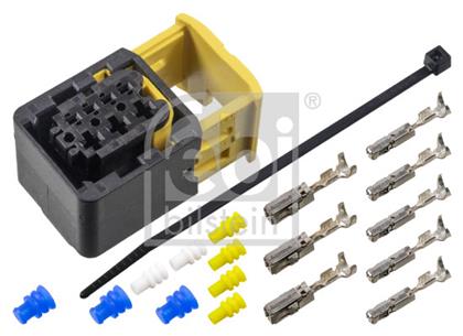 Stecker