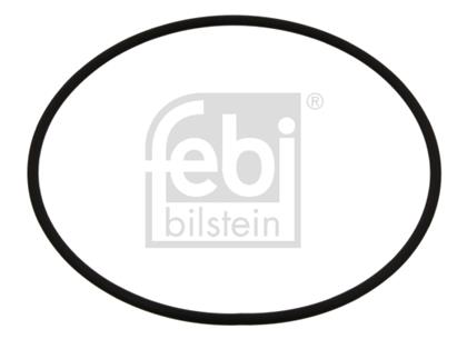 O-Ring