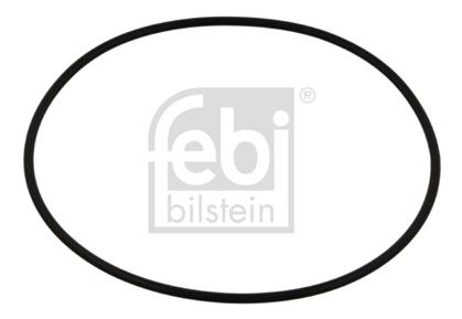 O-Ring