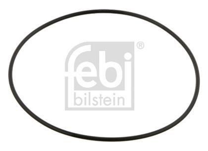 O-Ring