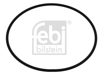 O-Ring