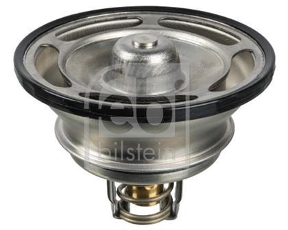 Thermostat RENAULT LKW (RVI)