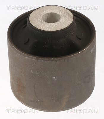 Lagerung, Lenker Tesla