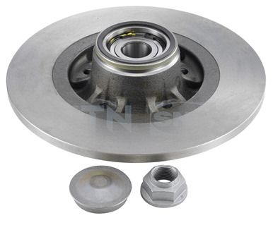 Bremsscheibe hinten Renault