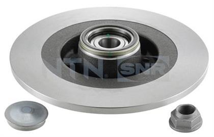Bremsscheibe hinten Renault