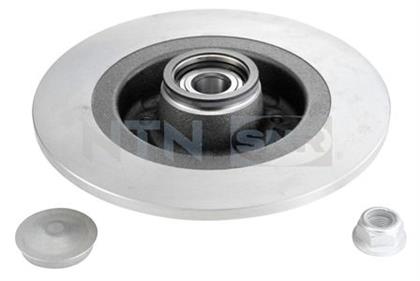 Bremsscheibe hinten Renault