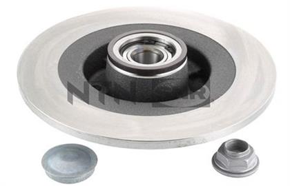 Bremsscheibe hinten Renault