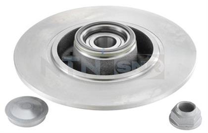 Bremsscheibe hinten Renault