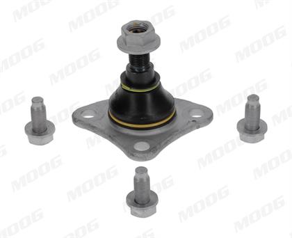 Trag-/Führungsgelenk vorne