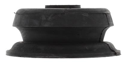 Federbeinstützlager