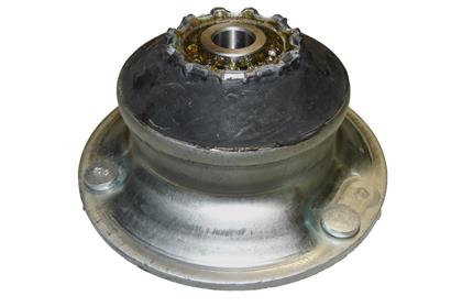 Federbeinstützlager