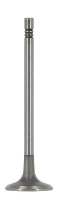 Einlassventil