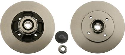Bremsscheibe hinten Renault