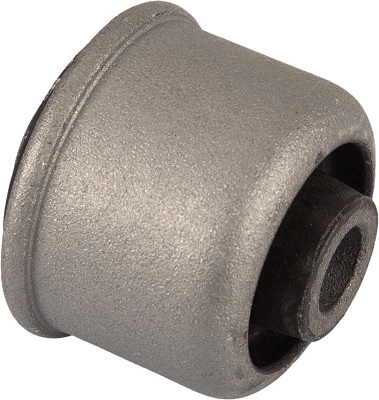 Lagerung, Lenker Renault