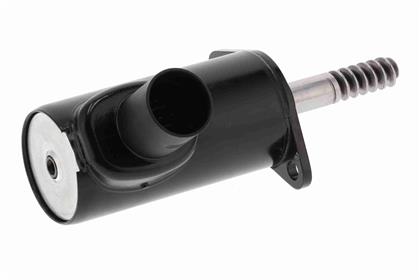Stellelement, Exzenterwelle (variabler Ventilhub)