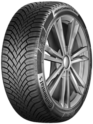 205/55R16 TS 860 91H