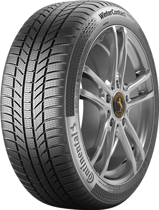 245/45R19 102V WinterContact TS 870 P
