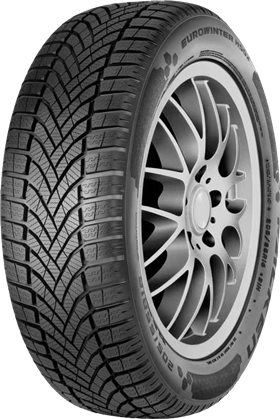 205/60R16 96H EUROWINTER HS02