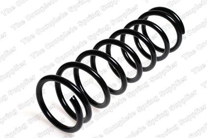 Fahrwerksfeder hinten