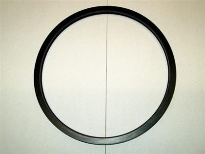 LIPPENDICHTRING 15X170X10