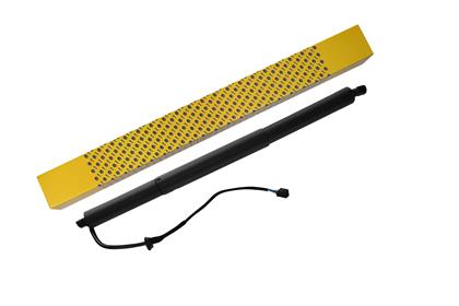 Schalter Rückfahrleuchte