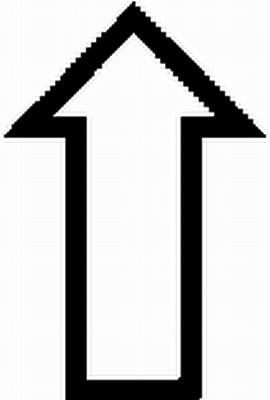 Schild