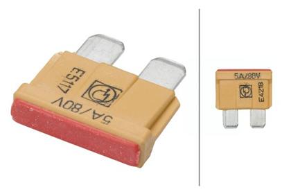 Sicherung FKS 80V 5A  für Elektrofzg.