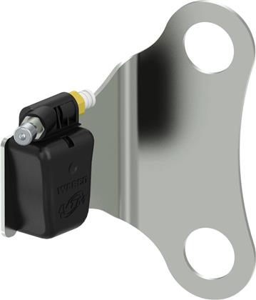 Radsensor, Reifendruck-Kontrollsystem