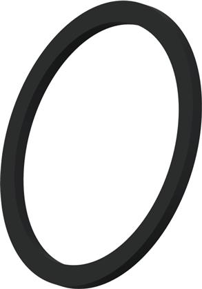 Dichtring