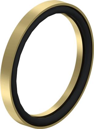 Druckring