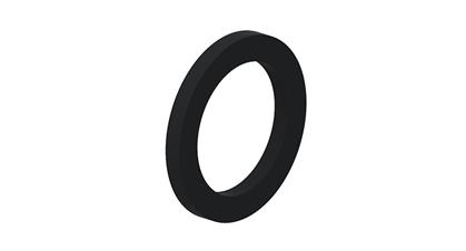 Dichtring