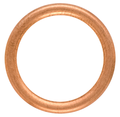 Dichtring