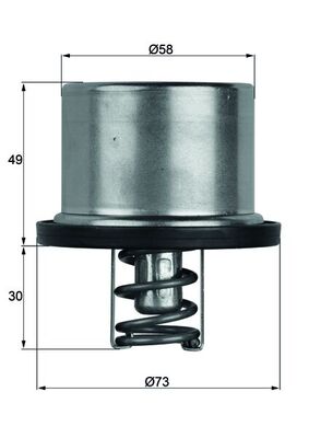 Thermostat, Kühlmittel