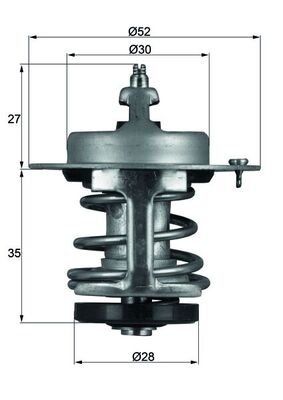 Thermostat, Kühlmittel
