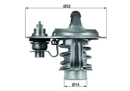 Thermostat, Kühlmittel