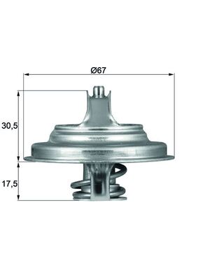 Thermostat, Kühlmittel