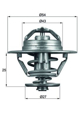 Thermostat, Kühlmittel
