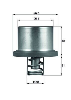 Thermostat, Kühlmittel