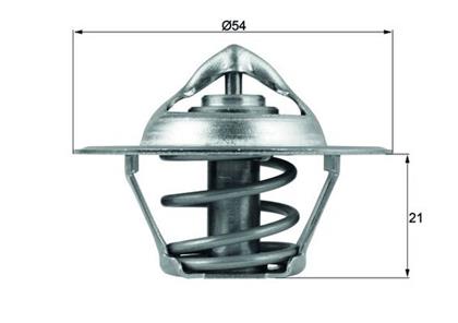 Thermostat, Kühlmittel