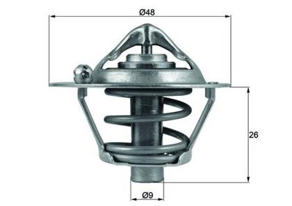 Thermostat, Kühlmittel