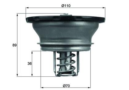 Ringschieberthermostat